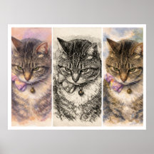 1 Stemming + 3 Sfeerbeelden = Totale Purrfectie