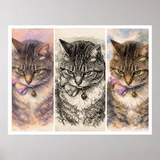 1 Stemming + 3 Sfeerbeelden = Totale Purrfectie Poster (Voorkant)