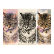 1 Stemming + 3 Sfeerbeelden = Totale Purrfectie