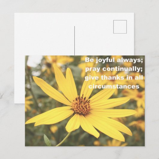 1 Thessaliërs 5:16-18 Zonnebloem Briefkaart (Voorkant / Achterkant)