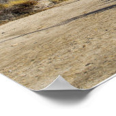 1 Timothy 3:16, 17 Struik Poster (Hoek)