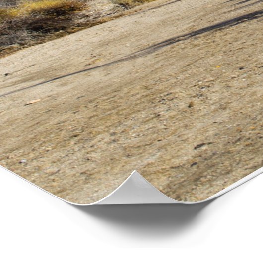 1 Timothy 3:16, 17 Struik Poster (Hoek)