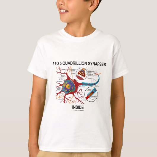 1 tot 5 quadrilleeuwensynapsen (Neuron) T-shirt (Voorkant)