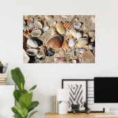 1 vierkante voet schelpen poster (Thuiskantoor)