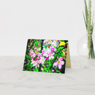 1APPLE BLOESEMS HELDER KLEIN WENSKAART KAART