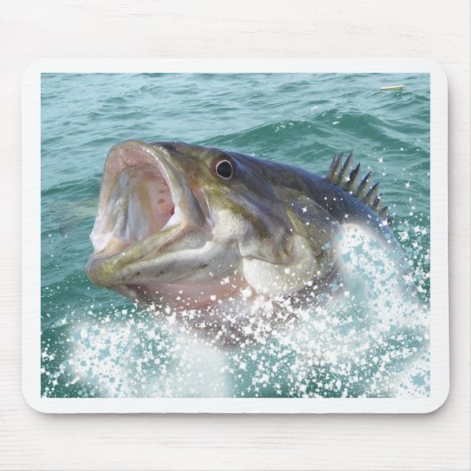 1basss11cp muismat (Voorkant)