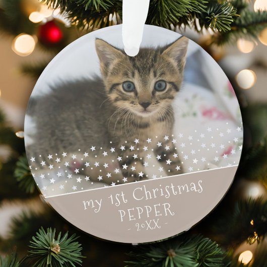 1e kerstkat foto-aandenken ornament