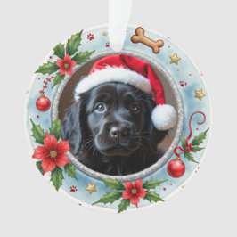1e kerstmis 2-zijdig Pawfect Beginnings Ornament