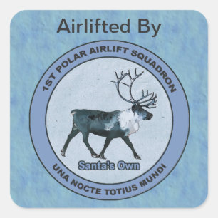 1e Polar Airlift Squadron Special Delivery Vierkante Sticker