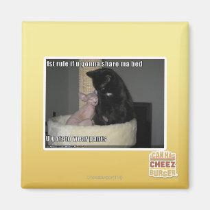 1e regel als ik Ma Bed ga delen Magneet