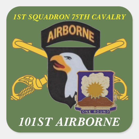 1E SQUADRON 75E CAVALERIE 101E STICKERS IN DE LUCH (Voorkant)
