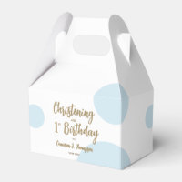 1e Verjaardag doopfeest Blauw baby jongen feest