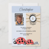 1e verjaardag foto ladybugs blauw bruin kaart (Voorkant)