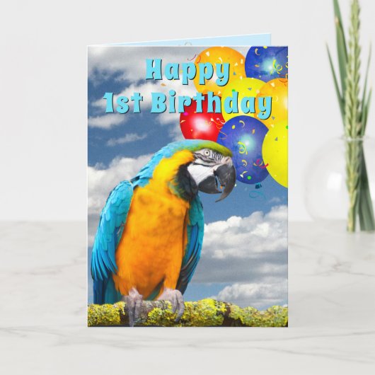 1e verjaardag Parrot Colorful Balloons Card Kaart (Voorkant)