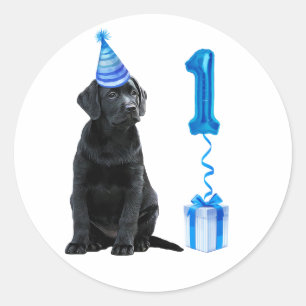 1e verjaardag puppy Theme - Cute Dog Blue Boy Pawt Ronde Sticker