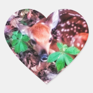 1FAWN HEART STICKKERS HART STICKER