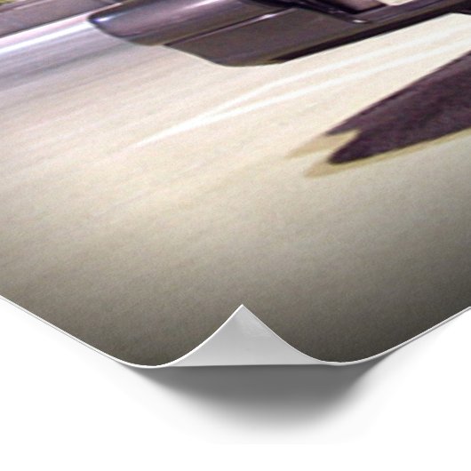 1g DSM-Poster Poster (Hoek)