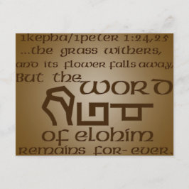 1Kepha/1Peter 1:24,25