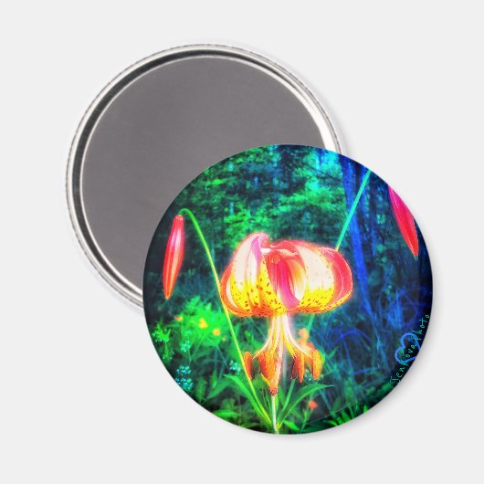 1MICHIGAN LILLY MAGNEET (Voorkant / Achterkant)