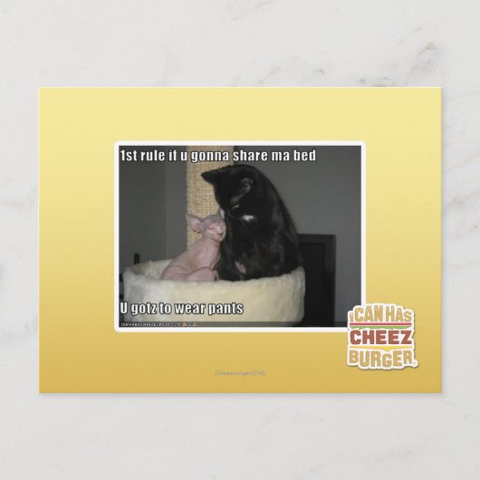 1st regel als u die ma bed gaan delen briefkaart (Voorkant)