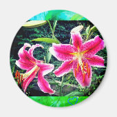 1STARGAZERS MAGNEET (Voorkant)