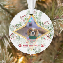 1ste kerstfeest Pet Gold en rode sieraar