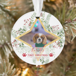 1ste kerstfeest Pet Gold en rode sieraar Ornament
