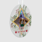 1ste kerstfeest Pet Gold en rode sieraar Ornament (voorkant)