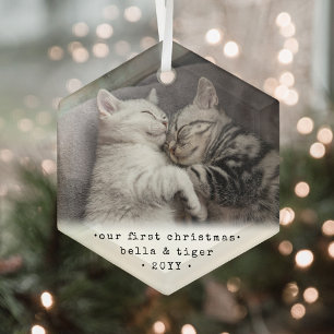 1ste Kerstmis 2 Katten of Om het even welk Pet Een Glas Ornament