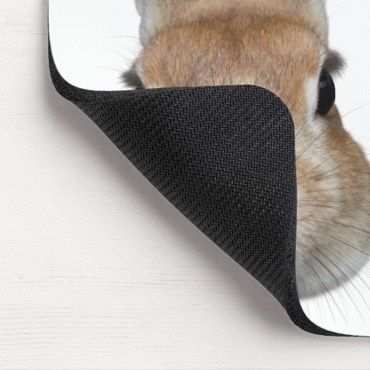 2匹のウサギの顔 MUISMAT (Hoek)