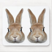 2匹のウサギの顔 MUISMAT (Voorkant)
