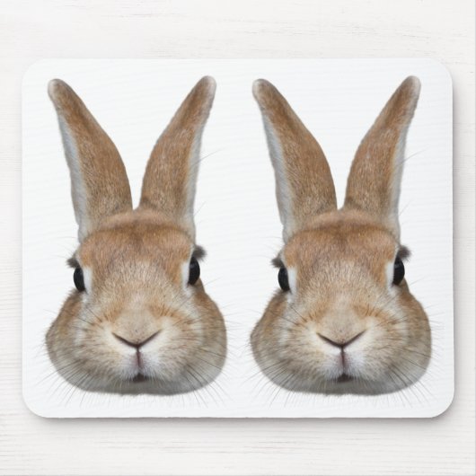 2匹のウサギの顔 MUISMAT (Voorkant)