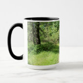 2000 Miler Appalachian Trail Mok (Links)