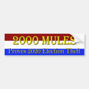 2000 Mules Bumpersticker
