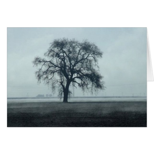 2004 februari 2004 (Voorkant Horizontaal)