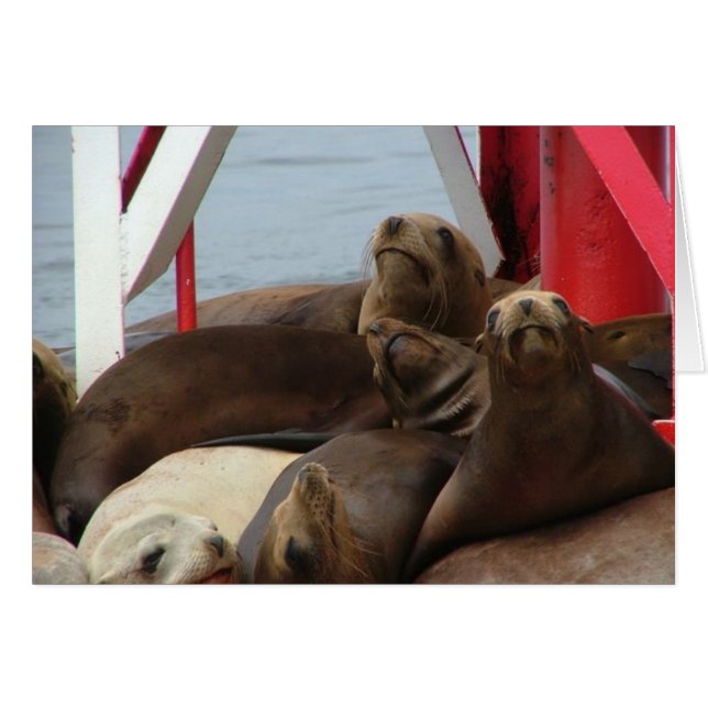 2005 augustus 2008 (Voorkant Horizontaal)