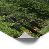 2005 mei josemite 198, Foto van Barbara Earl Poster (Hoek)