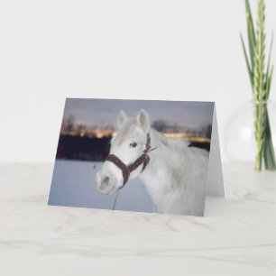 2005 OMRH Christmas Kaart Foto Eervolle vermelding