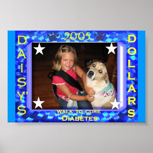 2005 Walk for Diabetes Poster (Voorkant)