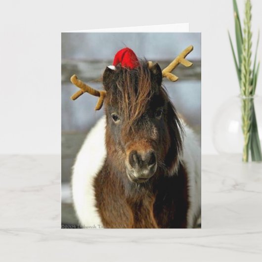 2005 Winnaar van de Plaats van de Foto van de Feestdagen Kaart (Voorkant)