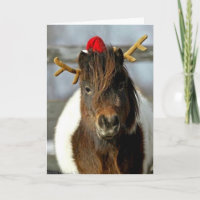 2005 Winnaar van de Plaats van de Foto van de