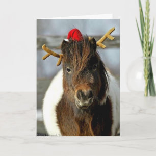 2005 Winnaar van de Plaats van de Foto van de Feestdagen Kaart