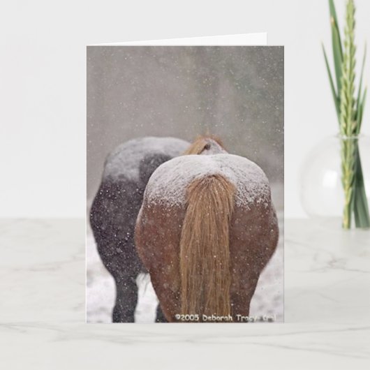 2005 Winnaar van de Plaats van de Foto van de Feestdagen Kaart (Voorkant)