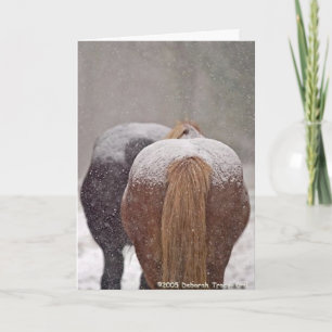 2005 Winnaar van de Plaats van de Foto van de Feestdagen Kaart