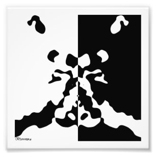 2006_0031 Notan Foto Afdruk