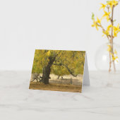 2006 037 Oct Kaart (Gele Bloem)