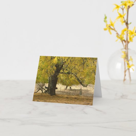 2006 037 Oct Kaart (Gele Bloem)