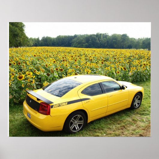 2006 Dodge Charger R/T Top Banana Poster (Voorkant)
