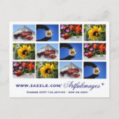 2007 het Collectie van de Zomer Briefkaart (Voorkant)