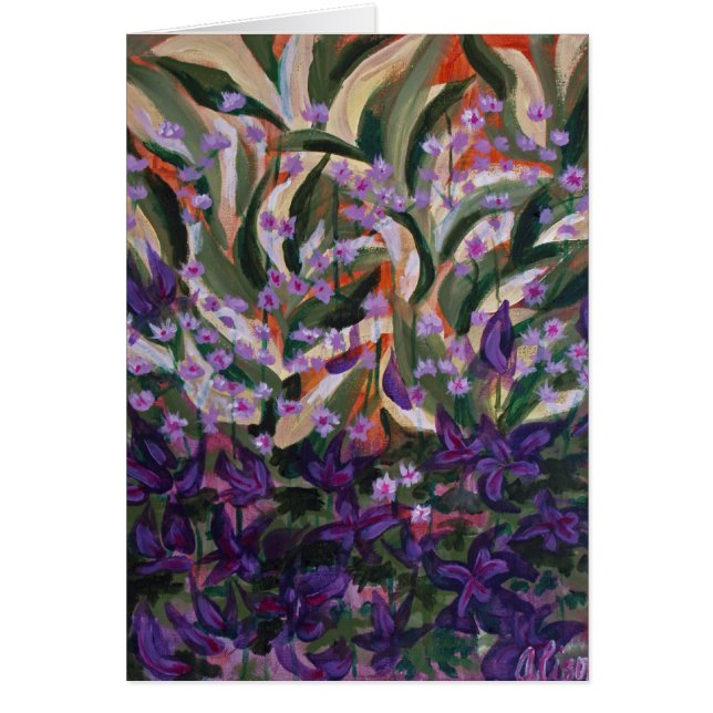 2007_Splash_of_Color (Voorkant)